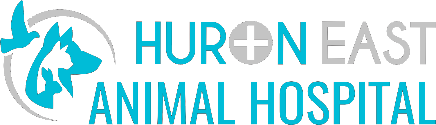 Huron East Animal Hospital