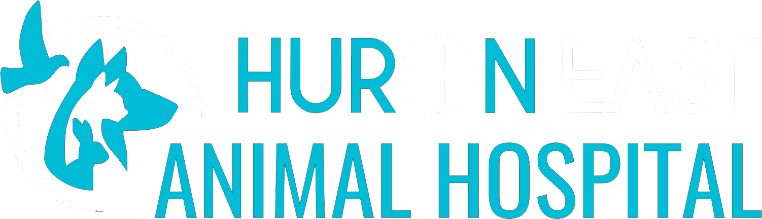 Huron East Animal Hospital